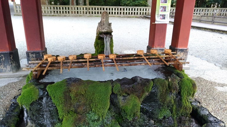 霧島神宮の参道と鳥居