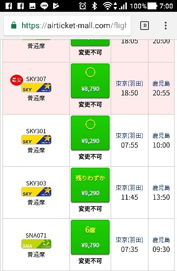2017年に予約した羽田発鹿児島行き航空券の購入画面